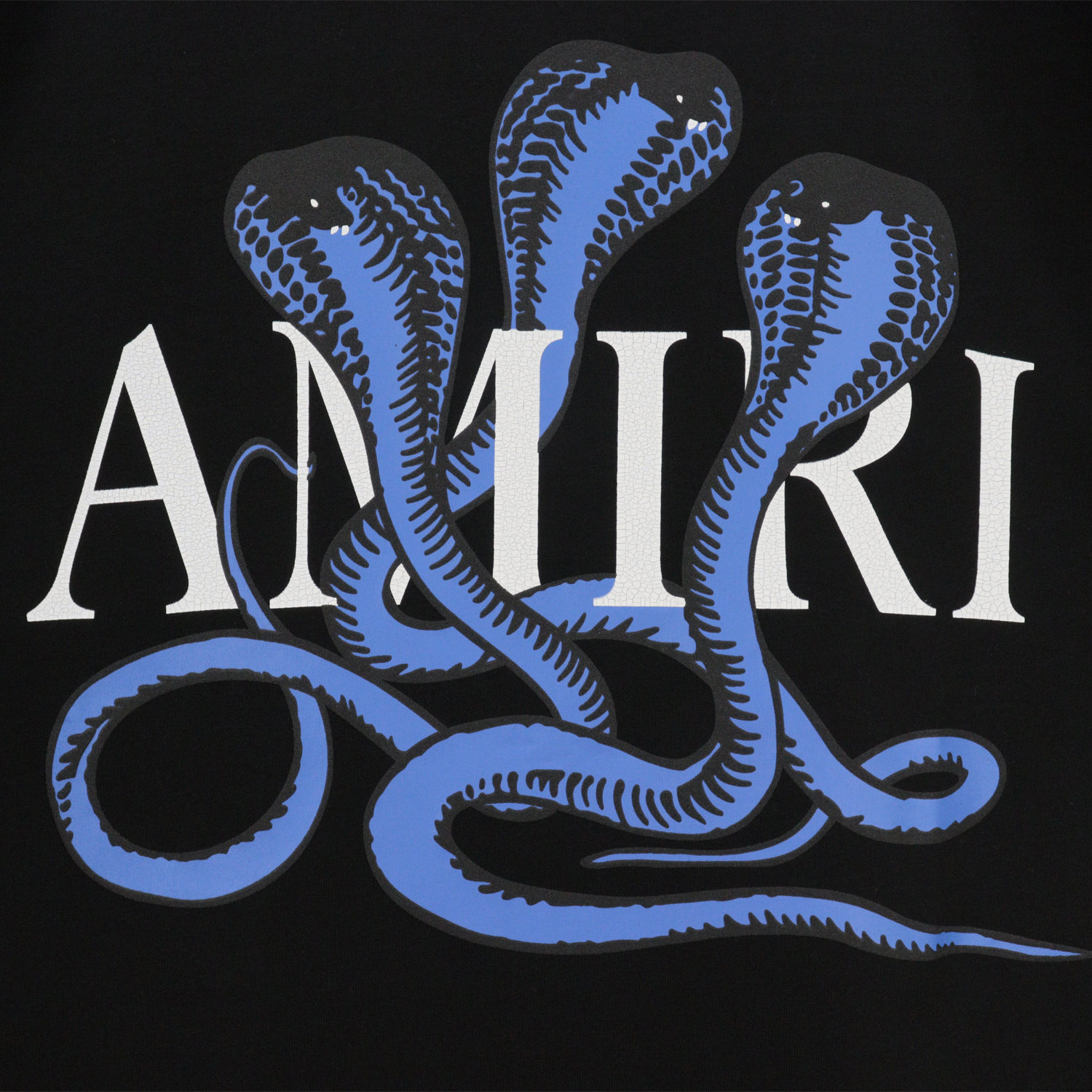 Amiri T-Shirts